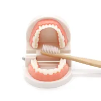 Dětská vzdělávací hračka pro čištění zubů