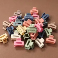 20pcs set of matte hair clips in different colors