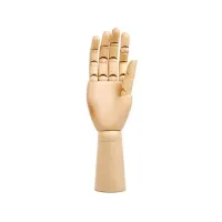 Wooden model of a hand