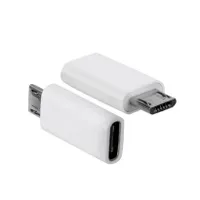 USB-C-Micro USB adapter A2495