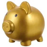 Cash box in the shape of a piggy bank for cash - More colours