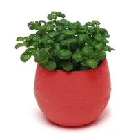 Mini pot de fleurs avec soucoupe C1168