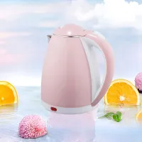 Electric kettle with EU plug, without cable, travel, double wall against burn, fast heating
