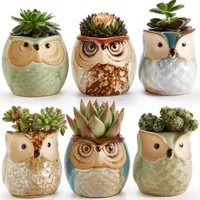 Owl Flower Ceramics Glazura Set of Sukulent