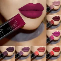 Waterproof matte liquid lipstick in several shades