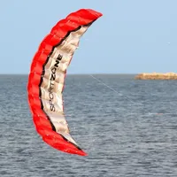 Paragliding Dragon