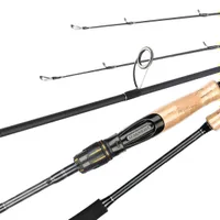 Carp fishing rod 1,98 m