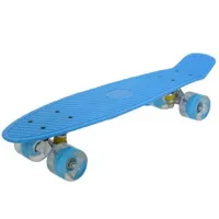 Penny board 22" with shining wheels