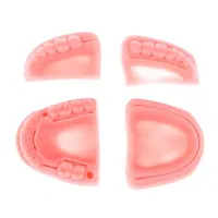 Denture model for stitching training 4 pcs