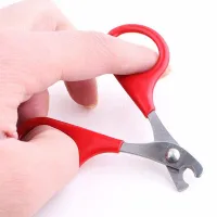 Scissors for claws for dogs and cats