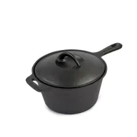 Non-sticky cast iron pot with lid
