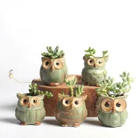 Set of pots in owl shape 5 pcs