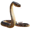 Terraristik