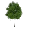 Hage og balkong