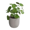 Dekorasjoner