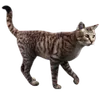 Katter