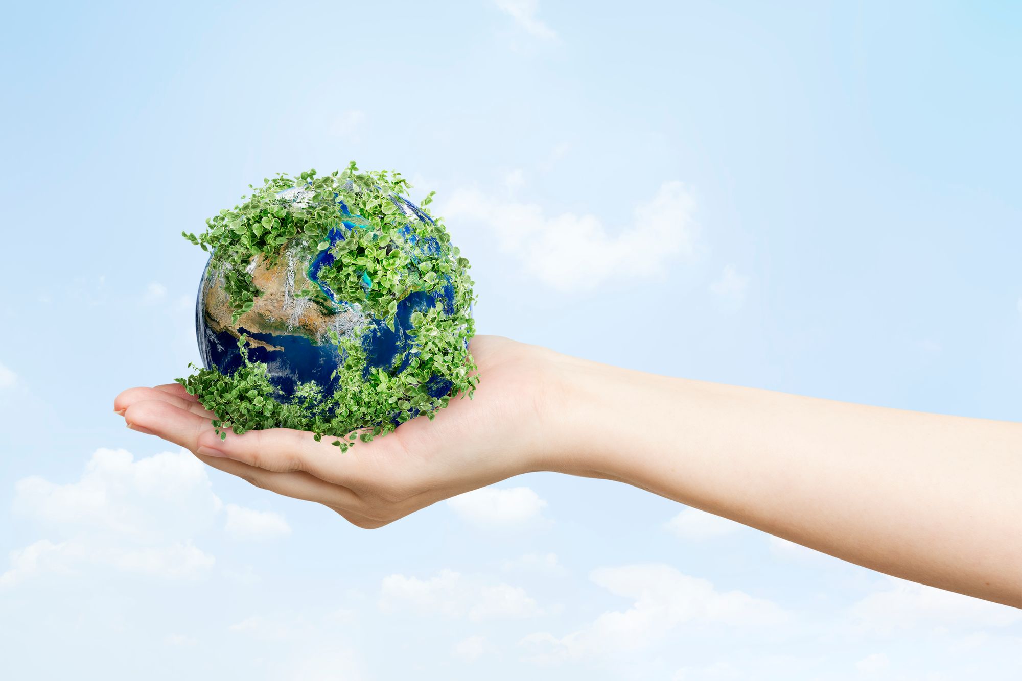 sustainable-living-environmentalist-hand-holding-green-earth.jpg